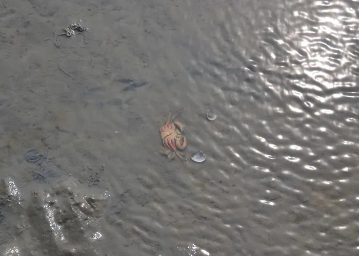 Landskron By Interhome *