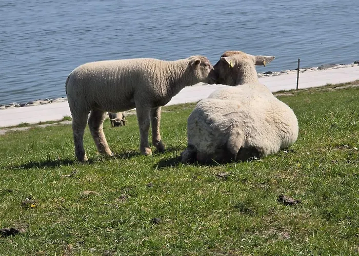 Landskron By Interhome *